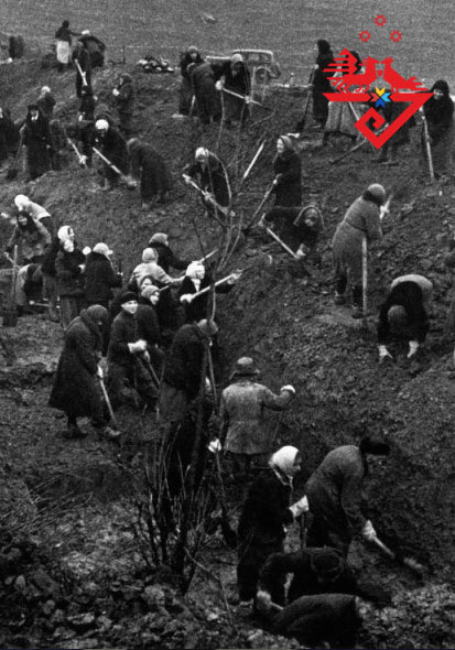 ЦЕНТР НАРОДНОГО ТВОРЧЕСТВА │ Виртуальная галерея исследовательских работ участников республиканского конкурса «Чтобы помнить»