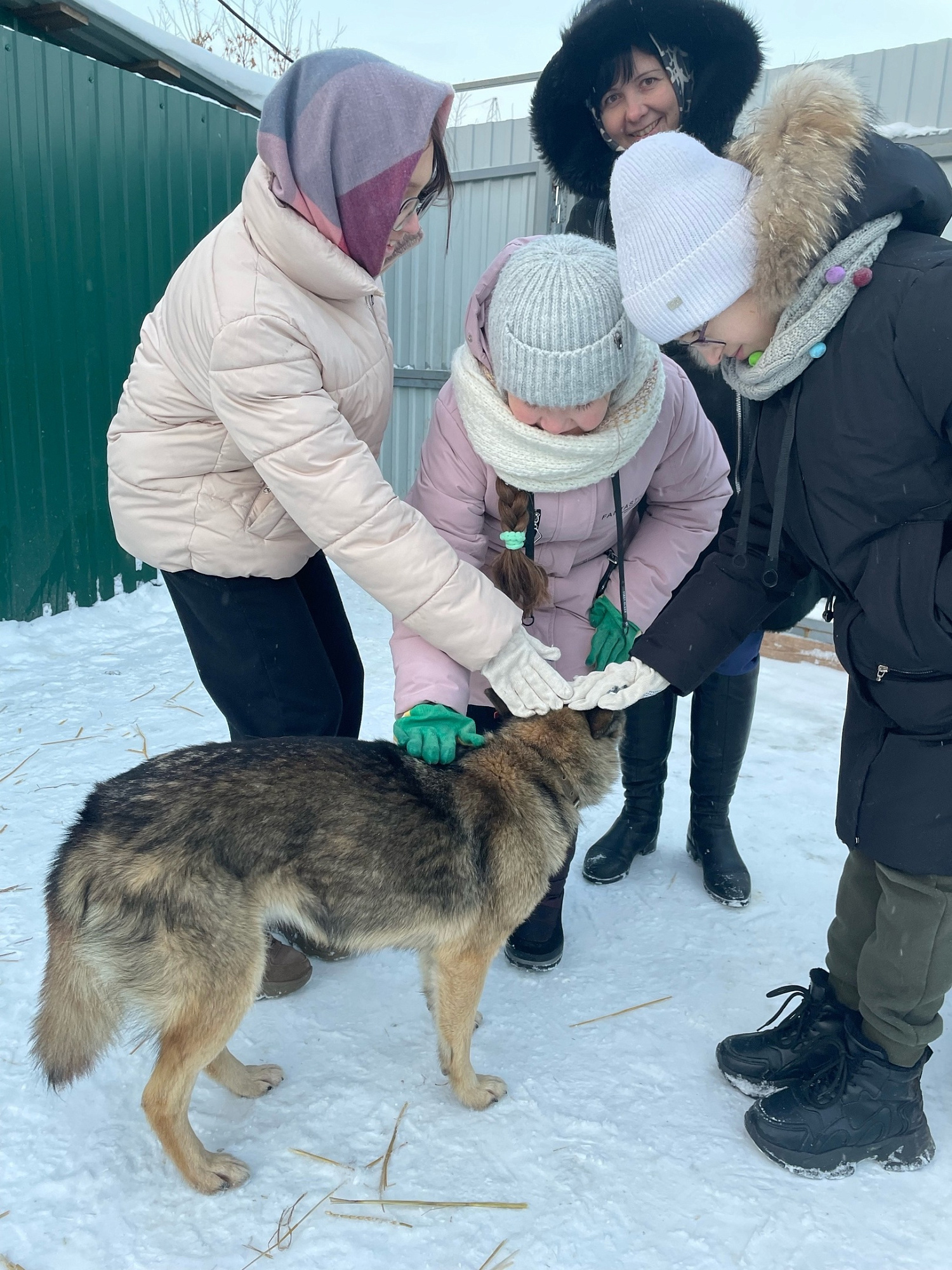 Приют жизнь